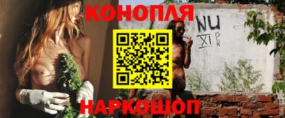 гидра Моздок
