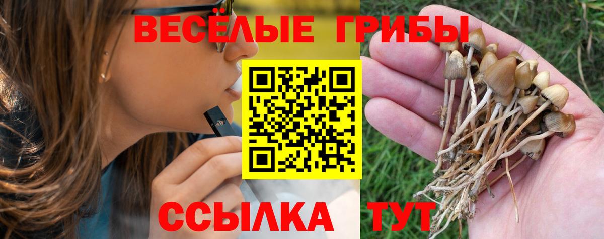 Псилоцибиновые грибы мицелий  Вход с VPN  хочу наркоту  Элиста  Псилоцибиновые грибы ЛСД 